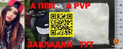 стафф Камышлов