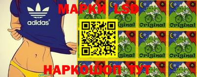 стафф Камышлов
