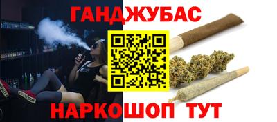 стафф Камышлов