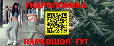 ешки Кингисепп
