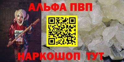 стафф Камышлов