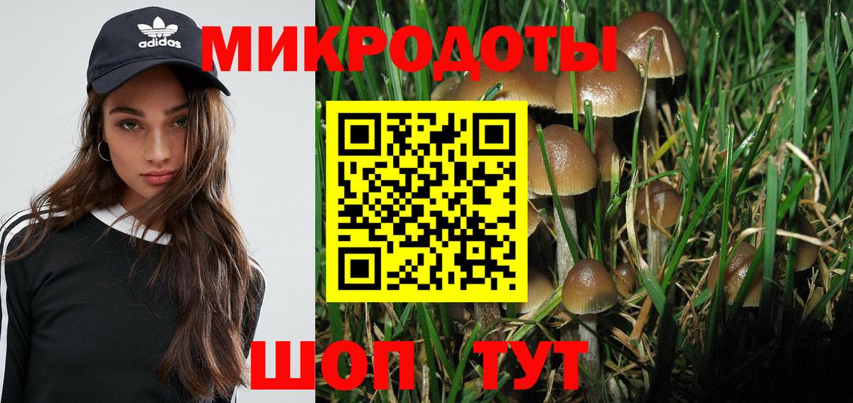 хочу   Псилоцибиновые грибы ЛСД  Бор  Вход с VPN  Псилоцибиновые грибы прущие грибы 
