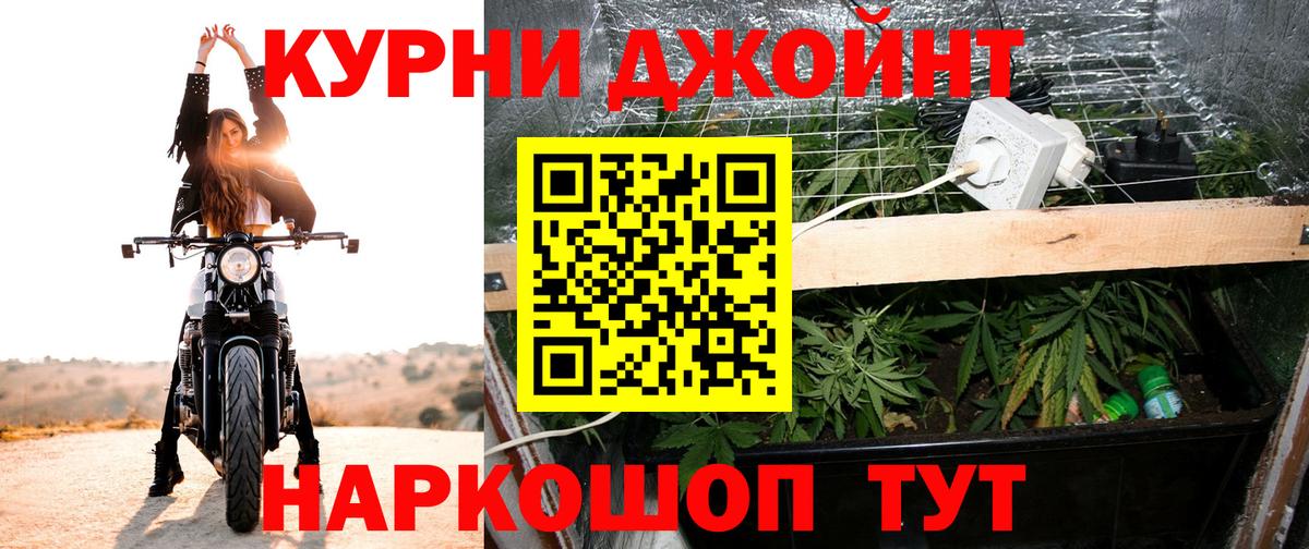 Бошки Шишки тримм Бор